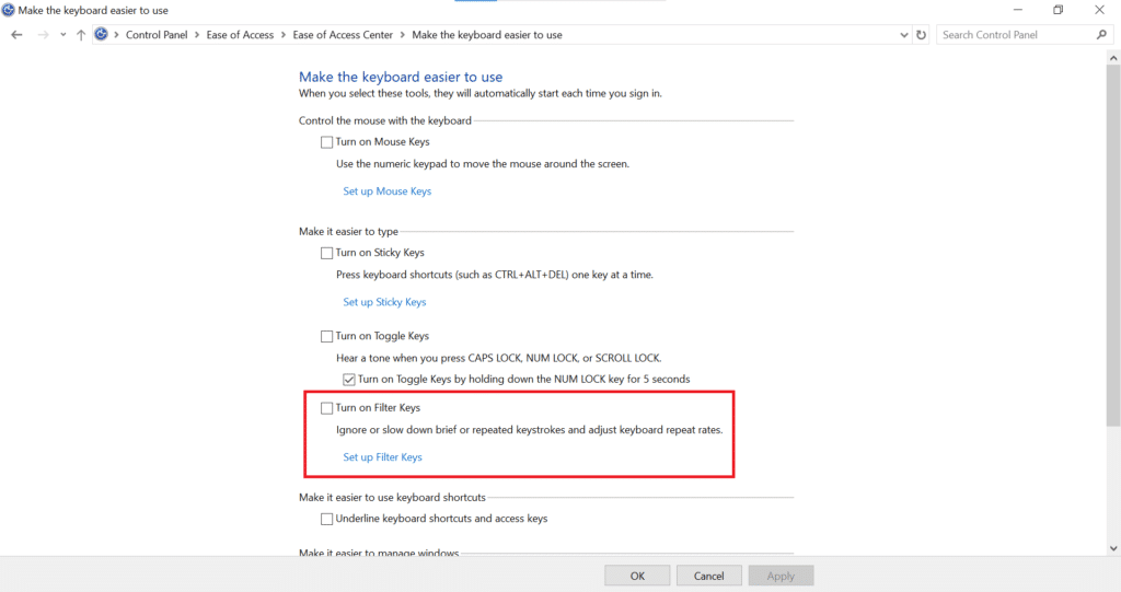 turn on filter keys option