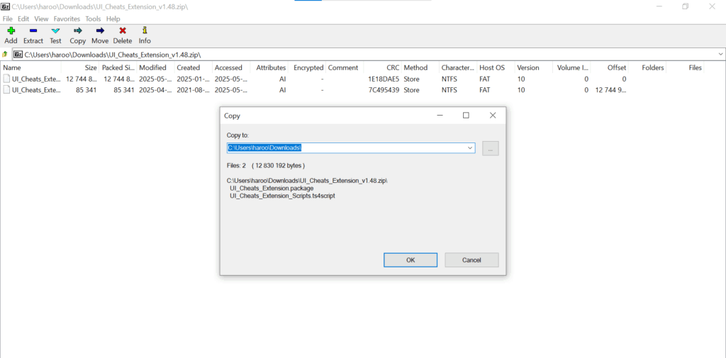 Extract the zip File