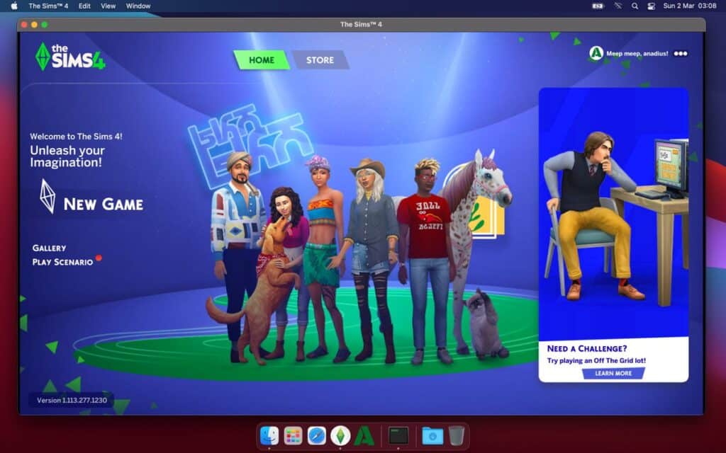 Image showing Anadius Sims 4 updater and DLC unlocker