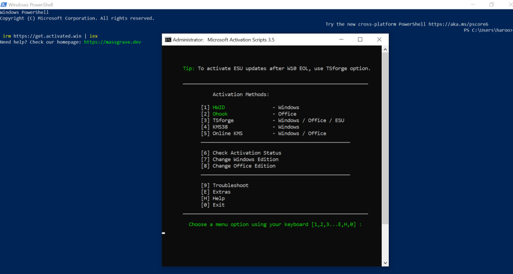 Image of a powershell showing Microsoft Activation scripts is running
