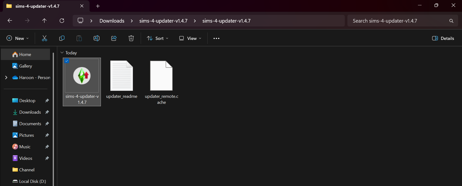 running the .exe file of Anadius