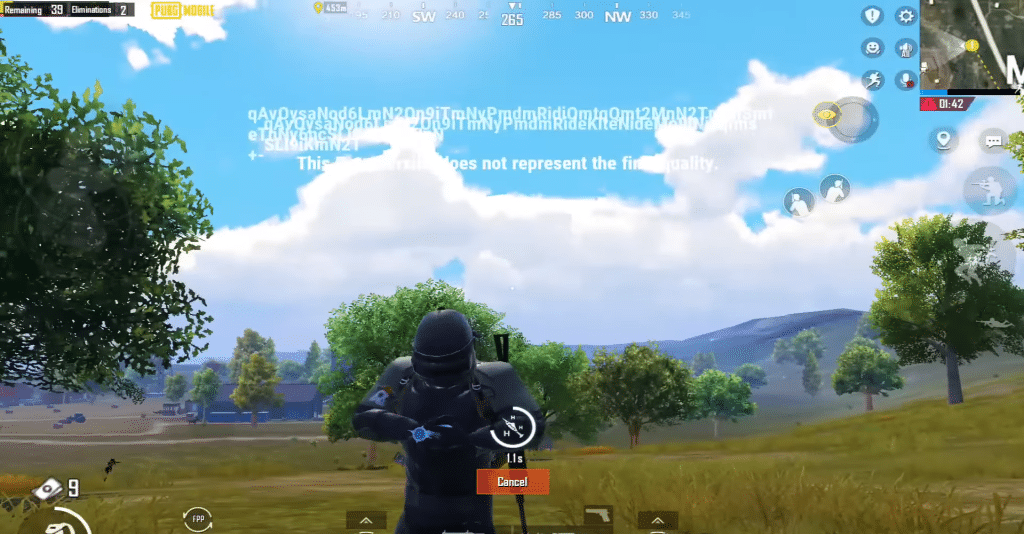 PUBG player using Swordfish Syrings