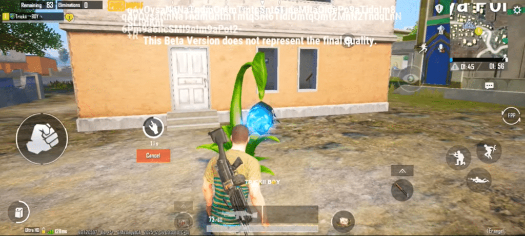 Image of a plant grown from luna fruit bud