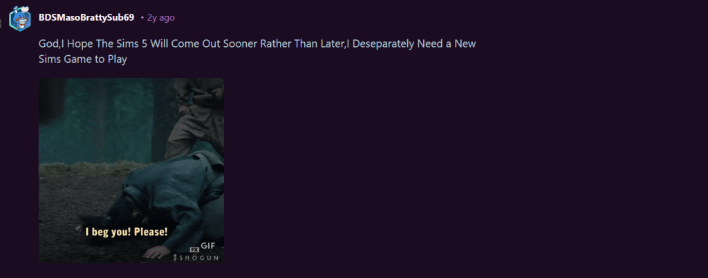 A reddit user talking about the Sims 5